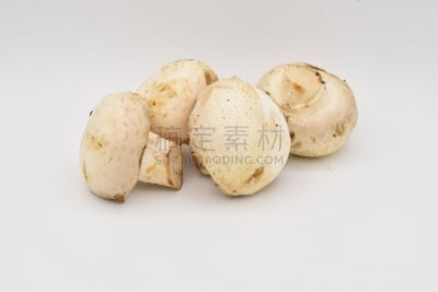 蘑菇,白色背景,美,水平画幅,香菇,夏天,户外,图像,活力,明亮