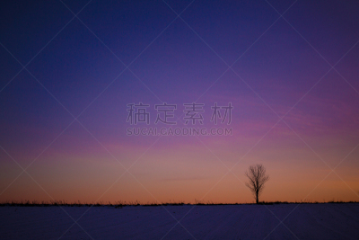 自然,瑞典,水平画幅,秋天,雪,无人,林雪平,早晨,黄昏,湖