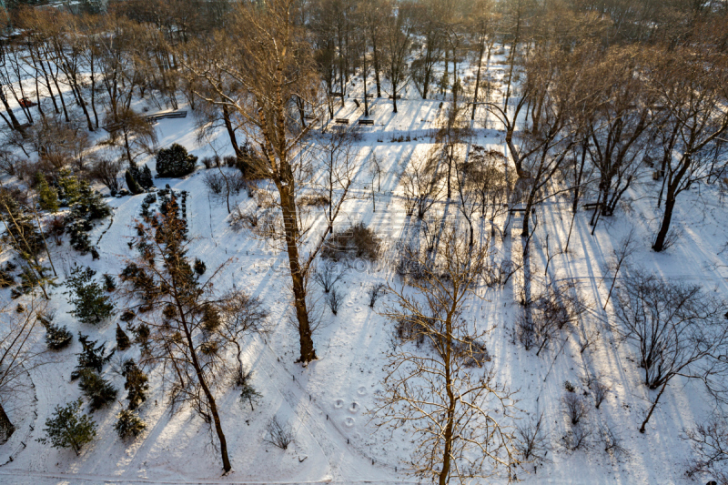 Winter in the city park