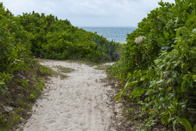 Way to the Aiyaru beach (Taketomi Island/Taketomi-jima, Okinawa)