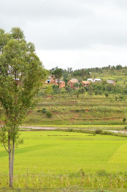 Paysages entre Antananarivo et Antsirabé Madagascar