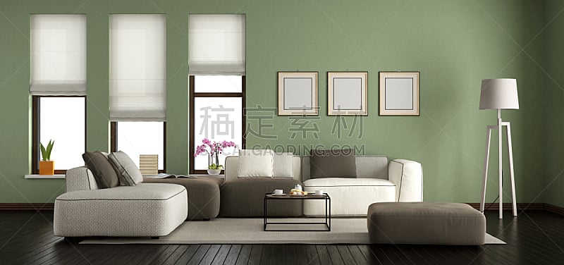 绿色,起居室,极简构图,褐色,边框,水平画幅,无人,硬木地板,绘画插图,家庭生活