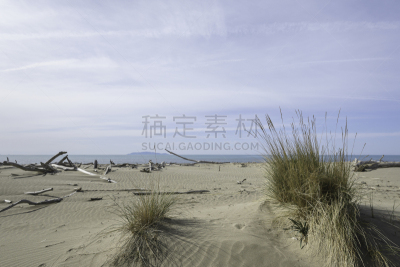 海滩,近海岸牧羊犬,公园,水,天空,水平画幅,山,沙子,早晨,户外