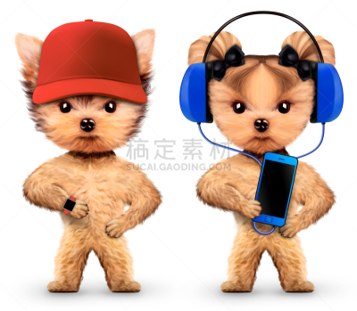 狗,耳机,幽默,音乐,手机套,电子监听装置,手机充电器,约克郡犬,沙滩派对,哈巴狗