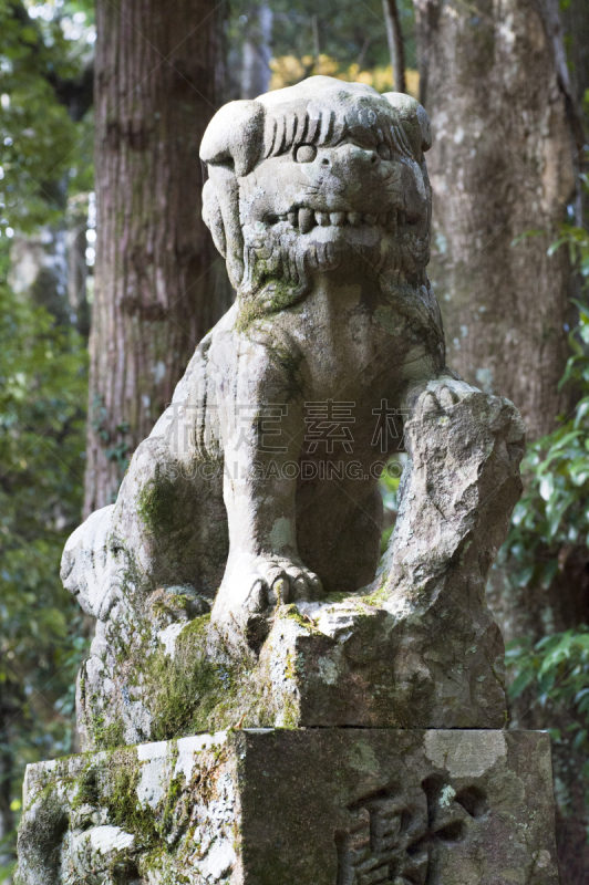 石材,一对,狗,垂直画幅,灵性,神殿,无人,日本,雕像,狮子