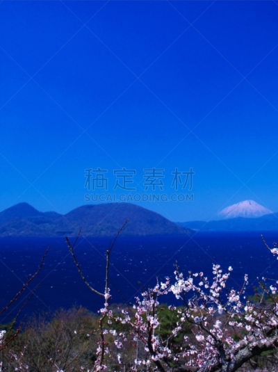 洞爷湖,北海道,非凡的,富士山,风景,欲望,有珠山,羊蹄山,梅子,梅花