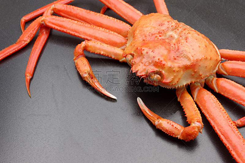 阿拉斯加雪蟹,饮食,煮食,水平画幅,无人,蜘蛛蟹,日本,海产,螃蟹,日本料理