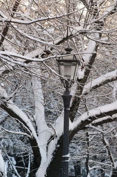 雪,佛罗伦萨,冬天,季节,意大利,米开朗基罗广场,过时的,灯,垂直画幅,天空