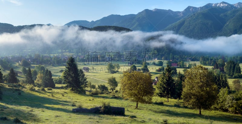 草地,阿尔卑斯山脉,雾,早晨,julian alps,水平画幅,夏天,户外,环境,成年的