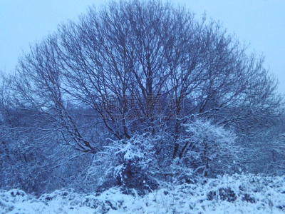 夜晚,十二月,2017年,扫雪车,寒冷,水平画幅,雪,无人,路,城市天际线