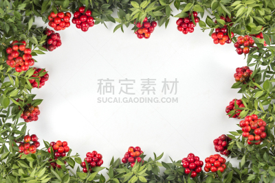 浆果,红色,背景,新的,边框,水平画幅,无人,圣诞树,植物