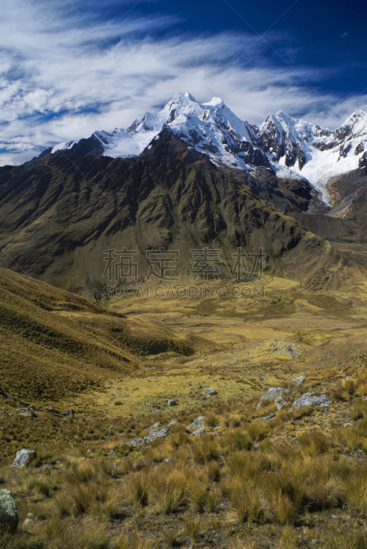 科迪勒拉山脉,垂直画幅,南美,美,雪,户外,高处,山,自然,宁静