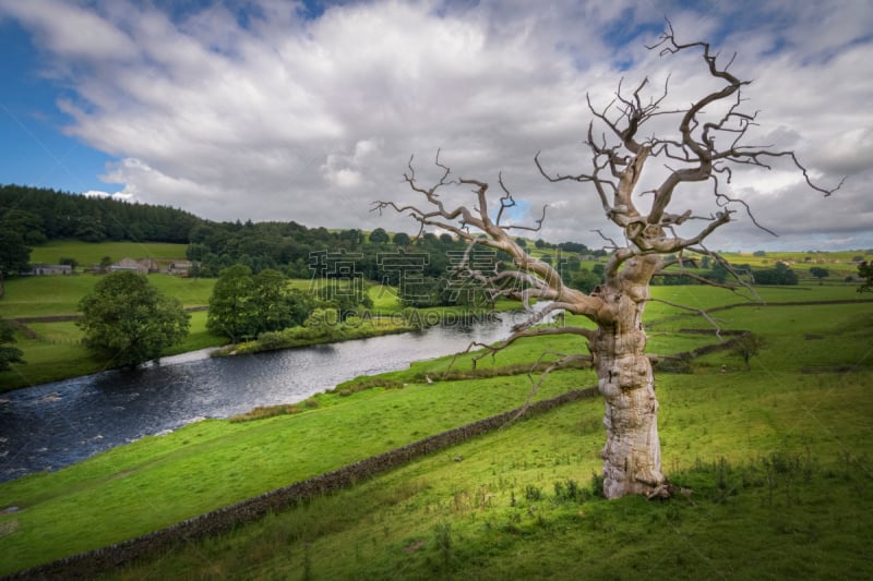 英格兰,山,wharfe 河,登特溪谷,沃夫河,约克郡谷地,水道,登特,英格兰湖区,约克郡