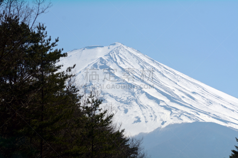 富士山,日本,加美,箱根湿地植物园,箱根园,富士箱根伊豆国立公园,伊豆半岛,火山喷口,水,灵性