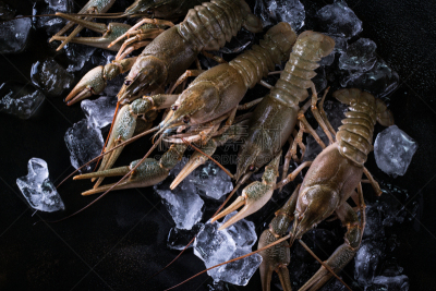 生食,小龙虾,组物体,清新,水平画幅,捕捞鱼,海产,人群,特写,活力