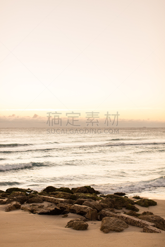 正面视角,棕榈沙滩镇,冷,垂直画幅,天空,风,沙子,光,棕榈树,明亮