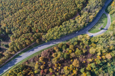 road through the autumn forest
