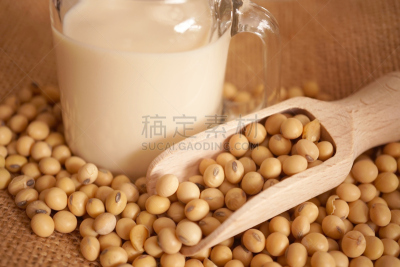 豆,豆奶,水平画幅,素食,玻璃,维生素,碾碎了的,干的,大豆,长寿饮食