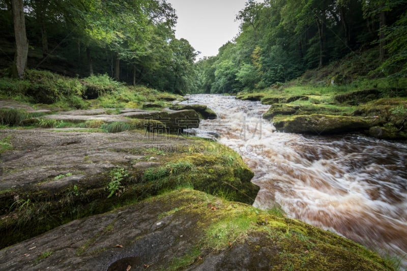 苔藓,英格兰,博尔顿修道院,岩石,wharfe 河,绿色,水,沟壑,地名,风景