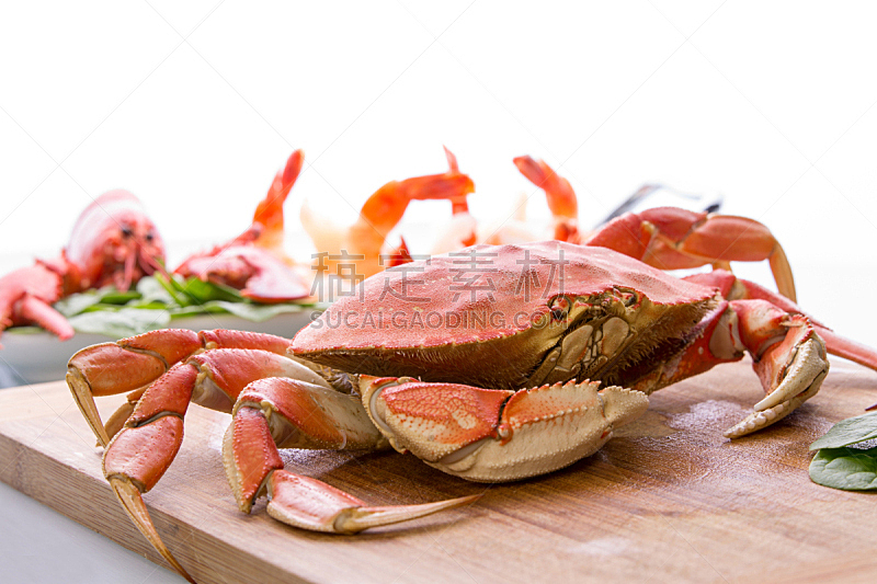 丹金尼斯螃蟹,红色,龙虾,自然,饮食,野生动物,煮食,水平画幅,蓝色,动物学