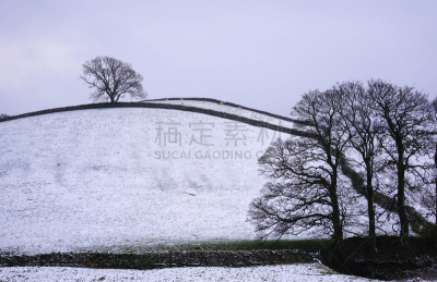 温斯利代尔,冬天,约克郡,牲畜,农业,黄昏,图像,绵羊,雪,英国