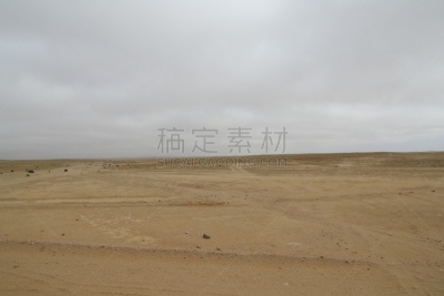 沃尔维斯湾,温得和克,公路,纳米比亚国家公园,水洞湖,金合欢树,纳米比亚,天空,水平画幅,云