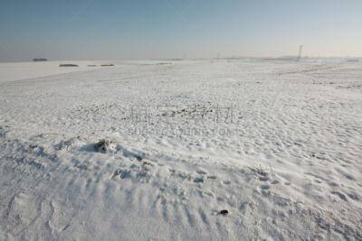 雪,法国,陆地,埃纳省,毕加底,耕地,耕犁,天空,褐色,水平画幅