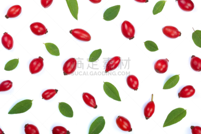 顶部,浆果,分离着色,式样,白色背景,视角,蔷薇果,平铺,正面视角,留白