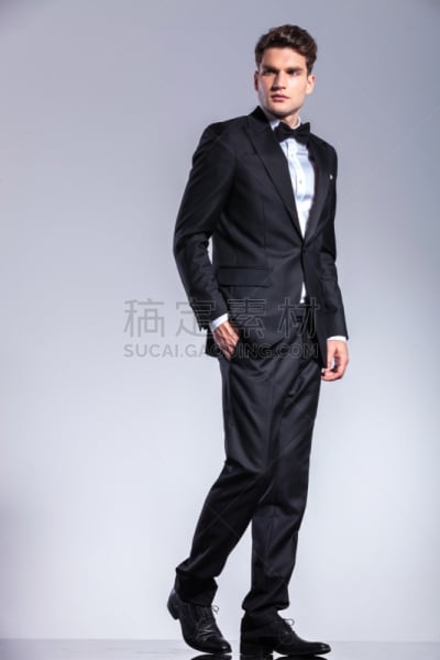 青年人,侧面视角,男商人,无尾礼服,手放在兜里,套装,百万富翁,领结,垂直画幅,男性