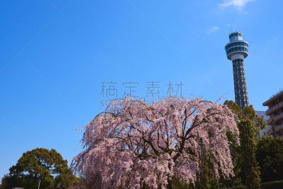 横滨,神奈川县,天空,水平画幅,无人,蓝色,日本,东亚,户外,都市风景