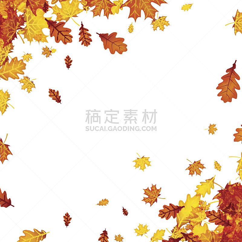 叶子,橙色,秋天,背景,美,九月,绘画插图,俄罗斯,白色,十月