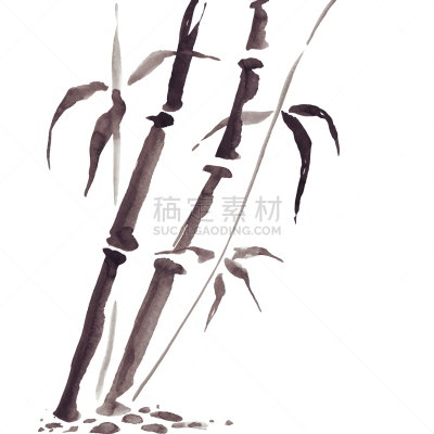 竹,时尚,竹子,墨水和刷子,绘画作品,禅宗,中国,园林,植物,工笔画