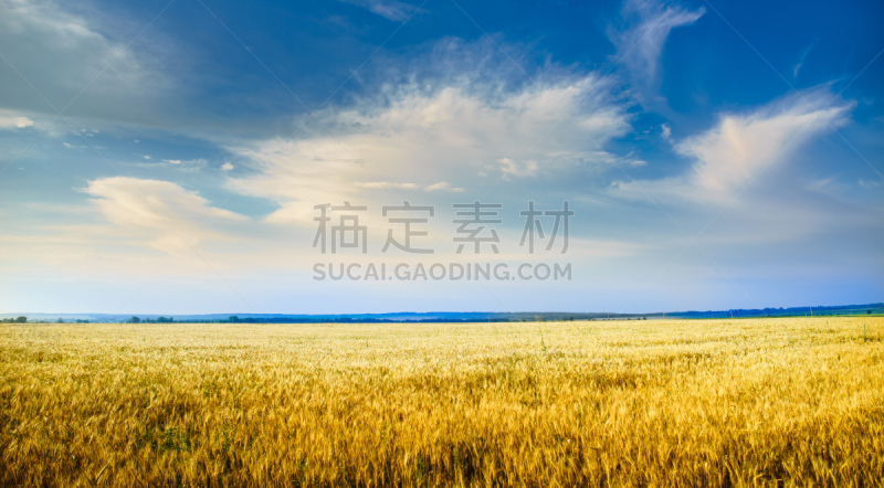 热,七月,天空,水平画幅,无人,夏天,户外,云景,稻草,农作物
