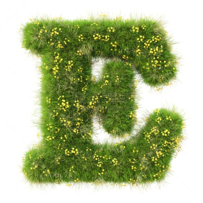 字母,美,艺术,形状,枝繁叶茂,符号,性格,草坪,组物体,生长