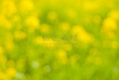 黄色の背景