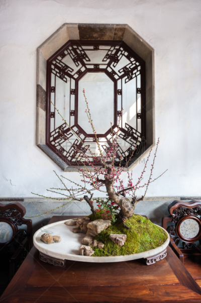 狮子林,苏州,盆景,中国,盆栽植物,枯山水,东方石景花园,江苏省,垂直画幅,无人