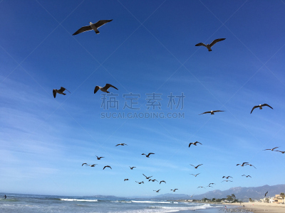 天空,卡子特里亚州立海滩,在上面,留白,休闲活动,沙子,半空中,气候与心情,海草,海滩