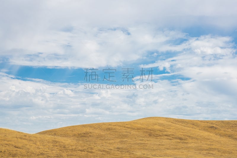 金色,山,全景,自然美,贝克菲尔德,天空,草原,早晨,夏天,播种