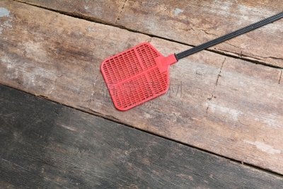 塑胶,两翼昆虫,红色,一个人,苍蝇拍,可靠性,硬木地板,背景聚焦,接,做