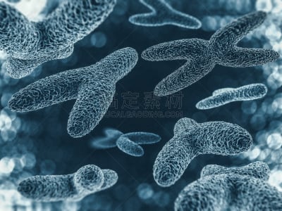 染色体,脱氧核糖核酸,三维图形,英文字母y,胚胎,英文字母x,基因突变,蛋白质,细胞核