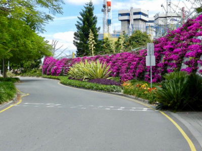 街道,多色的,水平画幅,地形,无人,路,户外,城市,印度,市区路