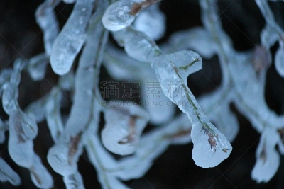 冰,水的凝结形态,博德河,寒冷,美国,水平画幅,无人,原野,冰冻时间,户外