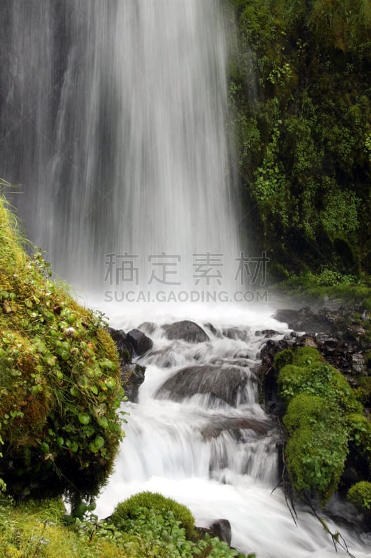 哥伦比亚河谷,瀑布,wahkeena waterfall,自然,垂直画幅,水,俄勒冈州,俄勒冈郡,宁静,枝繁叶茂