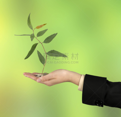 商务,绿色,水平画幅,重新造林,印刷机,信用卡,植物,商业金融和工业,成年的,叶子