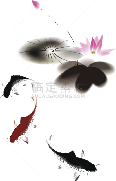 鲤鱼,荷花,矢量,黑色,红色,烟灰墨,锦鲤,绘画插图,水,绘画作品