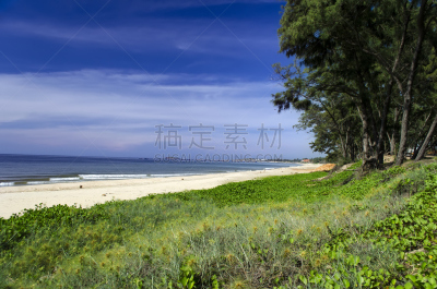 海岸地形,自然,海滩,平顺省,水平画幅,无人,亚洲,挨着,摄影,树