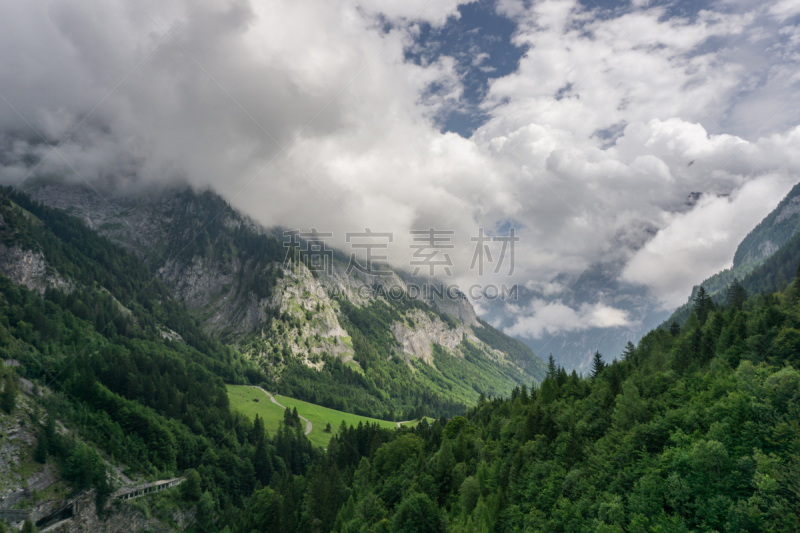 枝繁叶茂,瑞士阿尔卑斯山,山谷,绿山国家森林公园,巴特拉加茨,圣加仑郡,草地,水平画幅,绿色,云