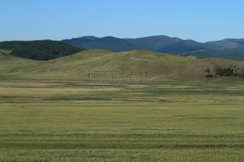 鄂尔浑河谷,veldt,蒙古,草地围场,自然,草地,柳树,水平画幅,野地