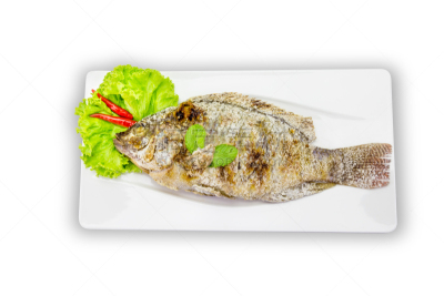 鱼肉,食盐,格子烤肉,背景分离,罗非鱼,餐具,水平画幅,高视角,无人,正上方视角