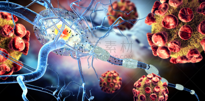 3d illustration of nerve cells and viruses